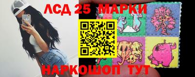 гидропоника Берёзовский