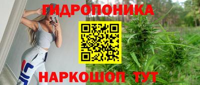 гидропоника Берёзовский