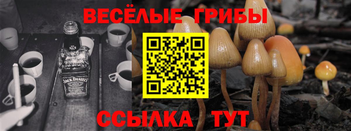 Псилоцибиновые грибы ЛСД  Вход с VPN  Псилоцибиновые грибы Psilocybe  Боровичи 